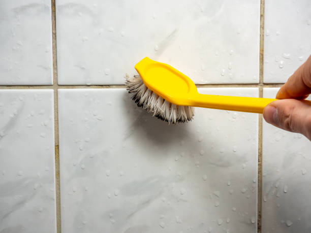 Best Post-Flood Mold Remediation in Purdy, WA