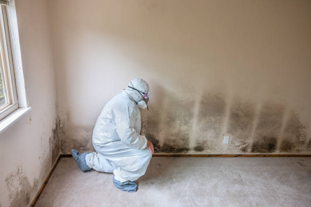 Purdy, WA Mold Remediation Company